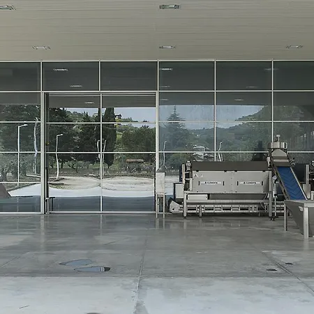 Frantoi Berretta - * Mirabella Imbaccari